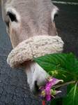 2012-09-02 13.13.35.jpg