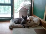 2012-09-02 17.08.44.jpg