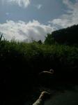 2012-09-04 08.08.25.jpg