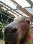 2012-09-04 08.54.45.jpg