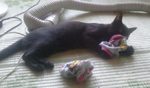 2012-09-07 12.08.46.jpg