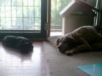 2012-09-07 14.23.56.jpg