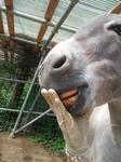 2012-09-08 09.22.14.jpg