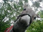 2012-09-08 09.53.05.jpg