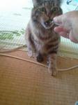 2012-09-11 09.04.44.jpg