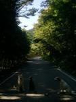 2012-09-12 08.07.31.jpg