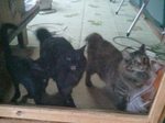 2012-09-19 07.15.46.jpg