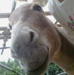 2012-09-21 09.50.54.jpg