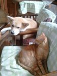 2012-09-21 10.34.26.jpg