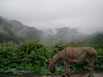 2012-09-25 08.58.25.jpg