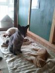 2012-09-28 09.13.33.jpg