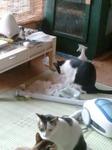 2012-09-30 09.09.34.jpg
