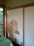 2012-10-02 10.54.57.jpg