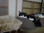 2012-10-08 18.42.58.jpg