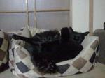 2012-10-09 01.00.00.jpg