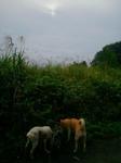 2012-10-09 07.46.38.jpg