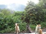 2012-10-09 07.53.05.jpg