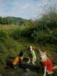 2012-10-10 08.06.44.jpg