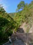 2012-10-10 09.08.48.jpg