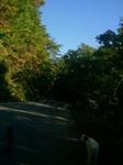 2012-10-20 08.05.21.jpg
