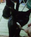 2012-10-21 17.15.39.jpg