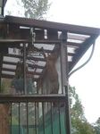 2012-10-31 10.03.06.jpg