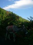 2012-11-01 09.17.39.jpg
