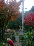 2012-11-19 13.15.35.jpg