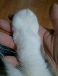 2012-11-19 17.02.07.jpg