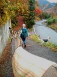 2012-11-24 10.58.38.jpg
