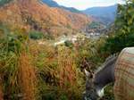 2012-11-24 11.24.31.jpg