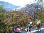 2012-11-30 08.12.35.jpg