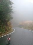 2012-11-30 08.28.27.jpg