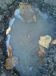 2012-12-07 08.50.36.jpg