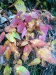 2012-12-07 09.06.21.jpg
