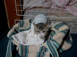 2012-12-09 17.46.50.jpg
