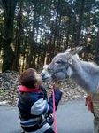 2012-12-10 09.16.04.jpg