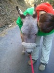 2012-12-12 09.34.33.jpg
