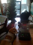 2012-12-13 07.05.24.jpg
