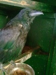 2012-12-13 07.21.30.jpg