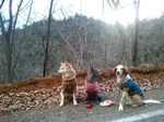 2012-12-15 08.40.11.jpg