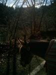2012-12-20 09.58.12.jpg