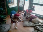 2012-12-21 15.25.55.jpg
