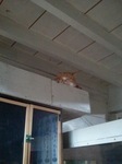 2012-12-30 11.33.17.jpg