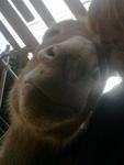 2012-12-31 11.05.24.jpg