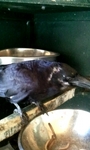 2012_10_10_09_45_38.jpg