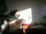 2013-01-02 10.38.44.jpg