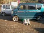 2013-01-02 14.36.45.jpg