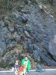 2013-01-03 10.18.32.jpg