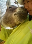 2013-01-07 08.47.49.jpg